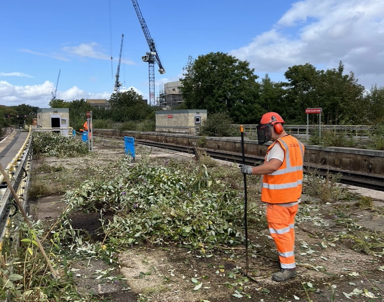 Vegitation Clearance